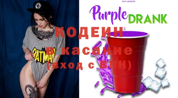 apvp Инта
