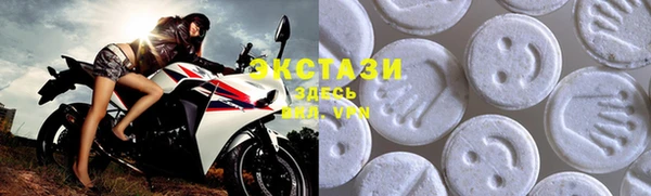 мдпв Инсар