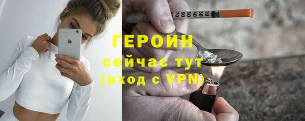 мдпв Инсар