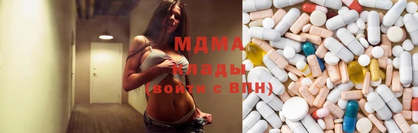 мдпв Инсар