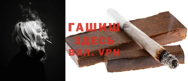 мдпв Инсар