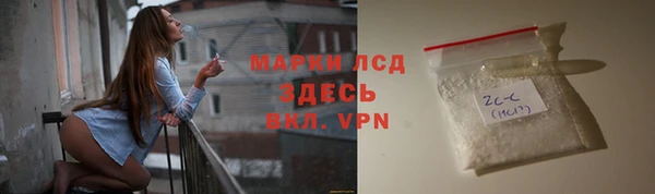 apvp Инта