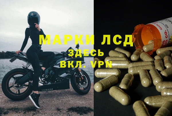 мдпв Инсар