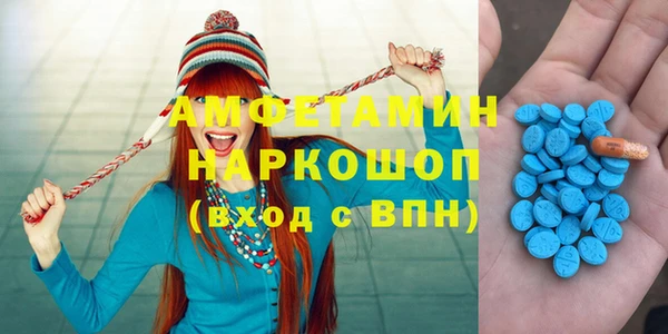 мдпв Инсар