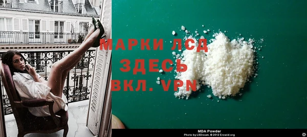 apvp Инта