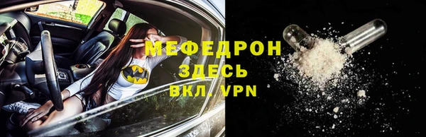 мдпв Инсар