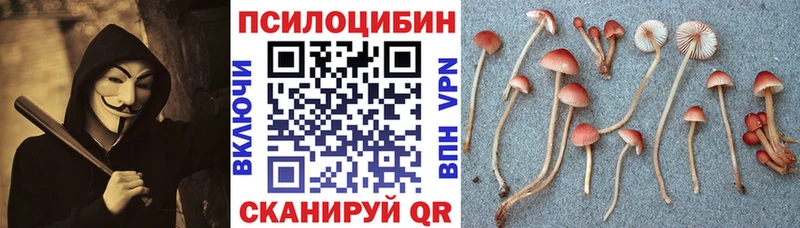 Псилоцибиновые грибы Psilocybine cubensis  Купить закладки  Новороссийск 